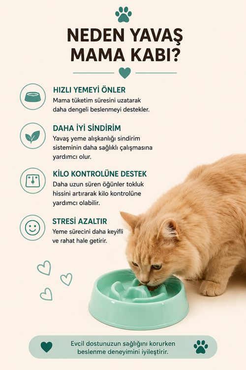 Kedi Köpek Yavaş Yeme Kabı 175 ML Slow Feeder Sindirim Dostu Anti Boğulma Mama Kabı